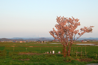 20110525_192309_D40.jpg